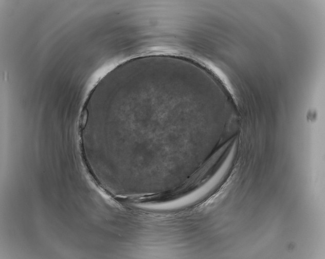 X0000090921373200708131424