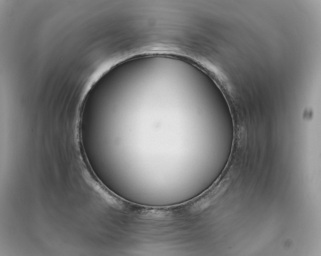 X0000090921374200708131424