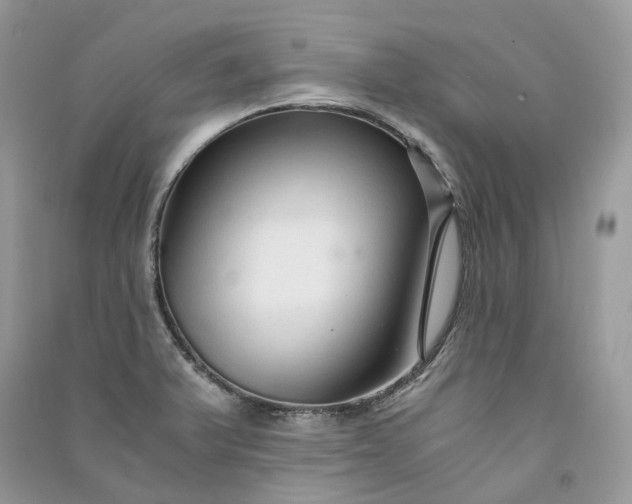 X0000090921375200708131424