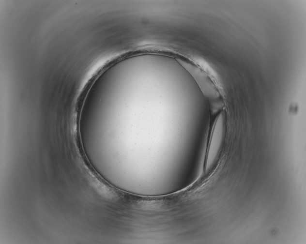 X0000090921376200708131424