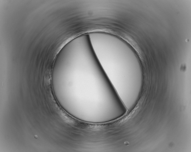 X0000090921377200708131424