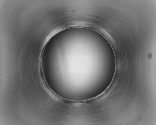 X0000090921378200708131424