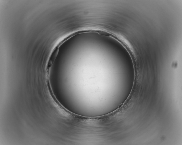 X0000090921380200708131424