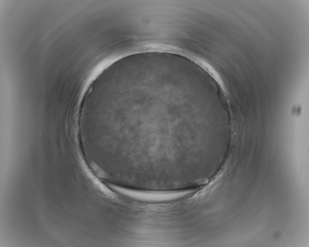 X0000090921381200708131424