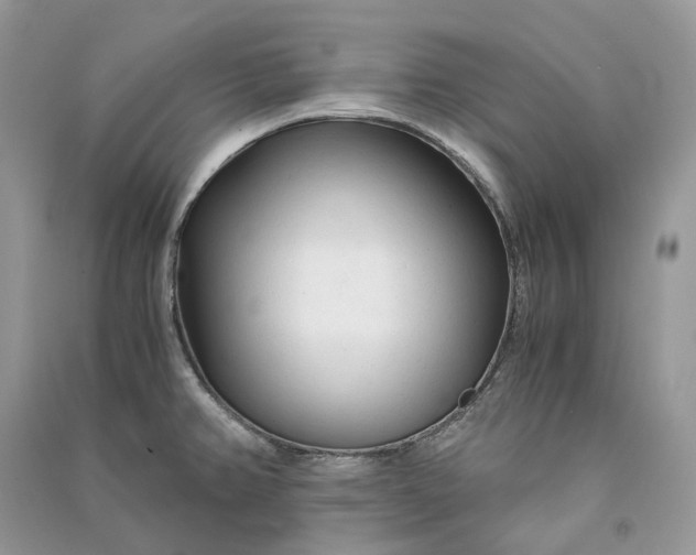 X0000090921382200708131424