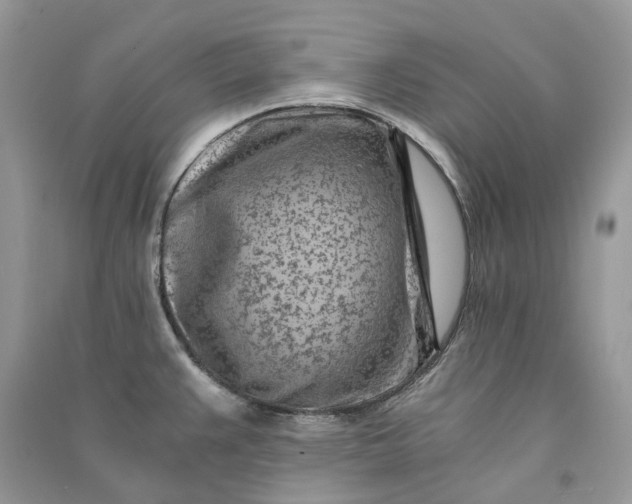X0000090921383200708131424