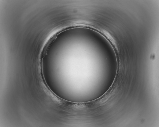 X0000090921384200708131424