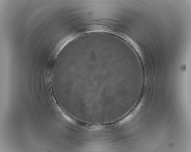 X0000090921385200708131424