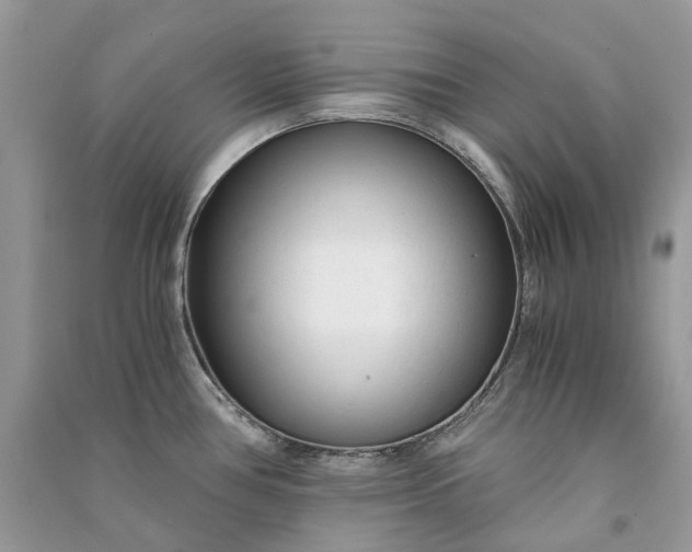 X0000090921386200708131424