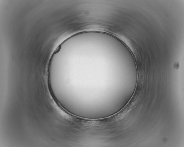 X0000090921387200708131424