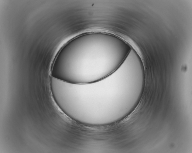 X0000090921388200708131424