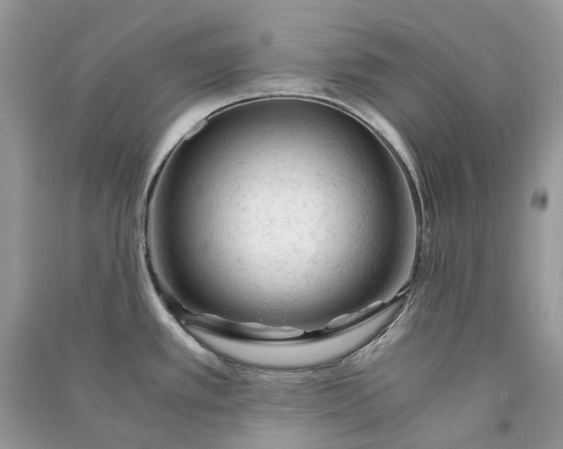 X0000090921389200708131424