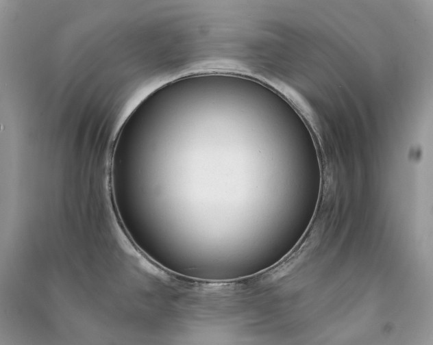 X0000090921390200708131424