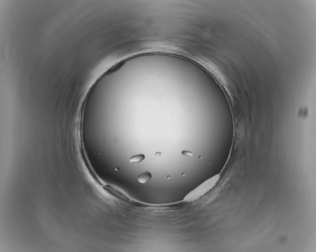 X0000090921391200708131424