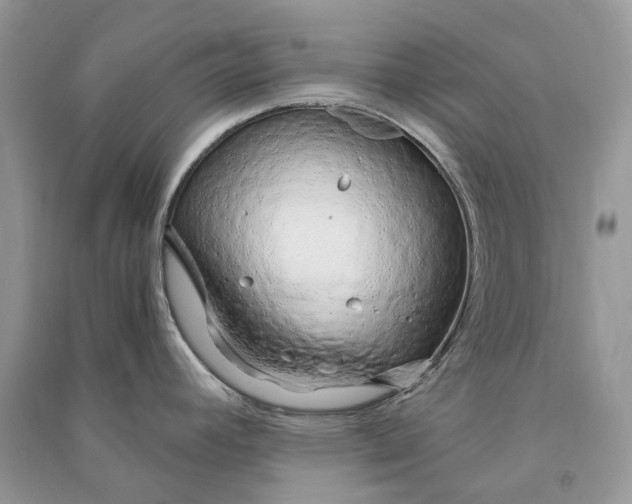 X0000090921392200708131424