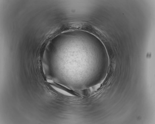 X0000090921394200708131423
