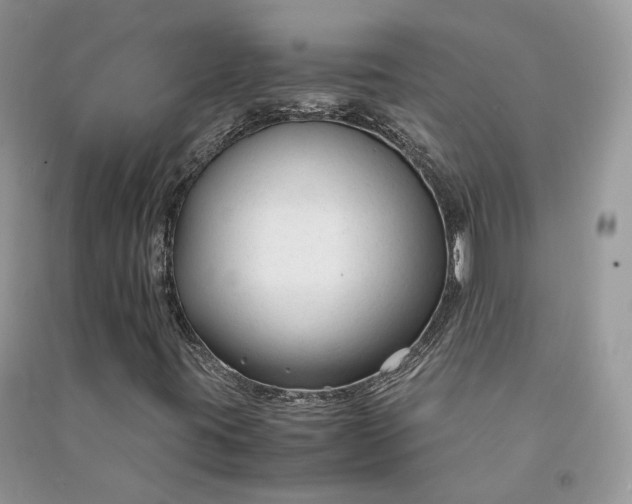X0000090921395200708131423