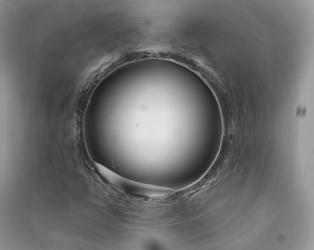 X0000090921398200708131423