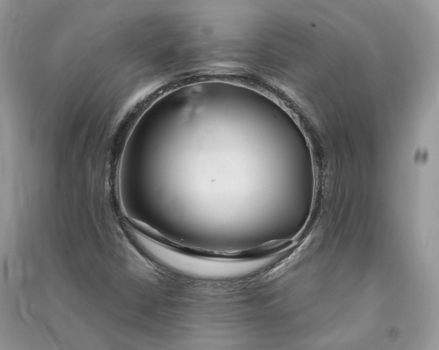 X0000090921402200708131423