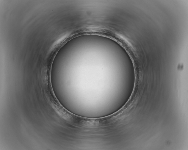 X0000090921403200708131423