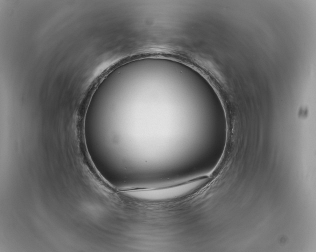 X0000090921404200708131423