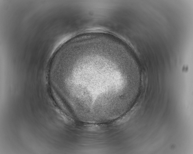 X0000090921405200708131423