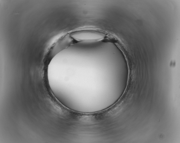 X0000090921406200708131423