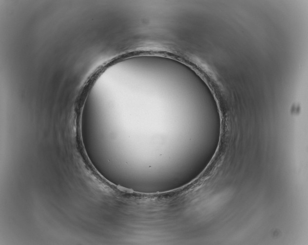 X0000090921408200708131423