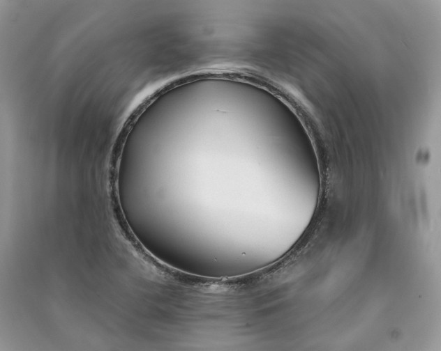 X0000090921412200708131423