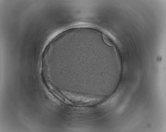 X0000090921413200708131423