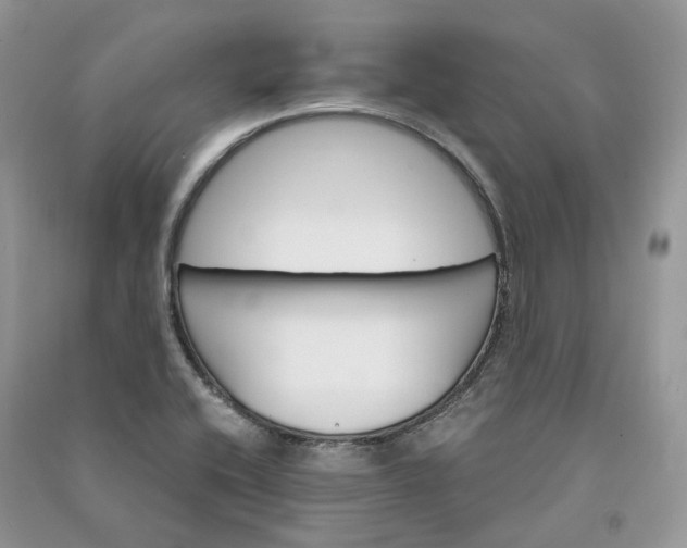 X0000090921416200708131423