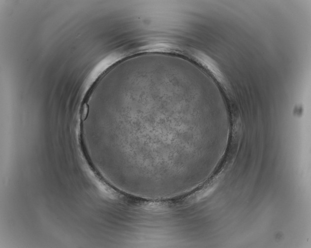 X0000090921418200708131423