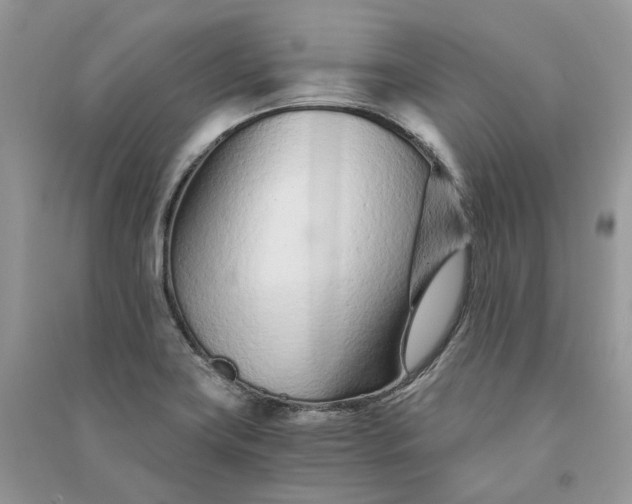 X0000090921419200708131423