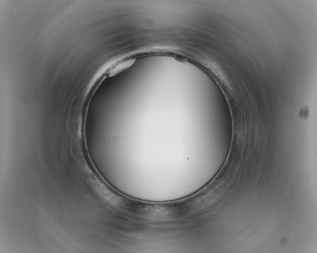 X0000090921420200708131423