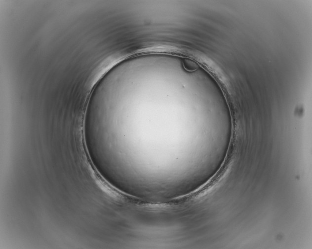 X0000090921425200708131423