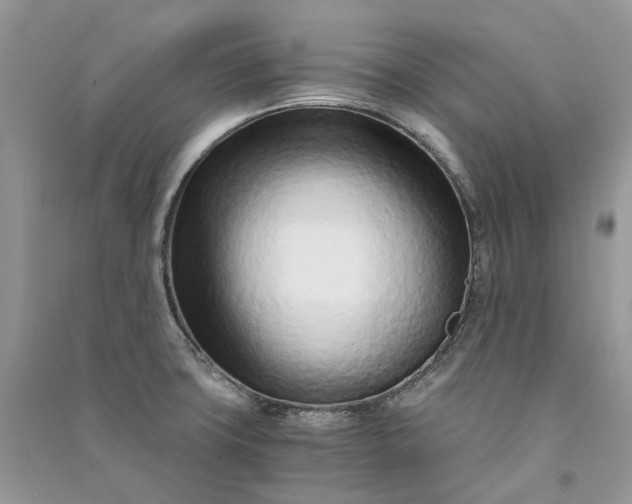 X0000090921427200708131423