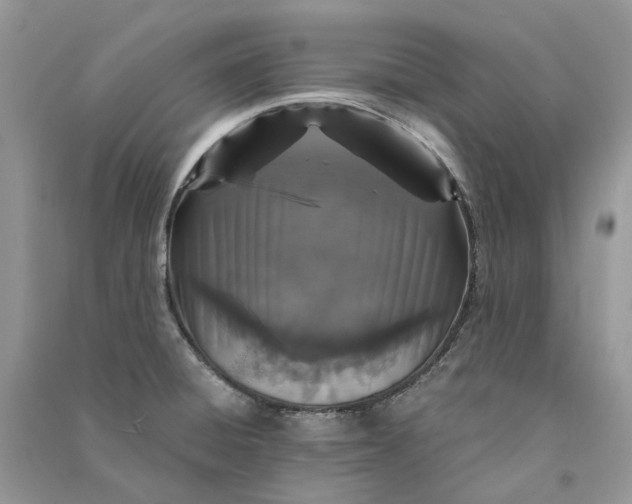 X0000090921428200708131423
