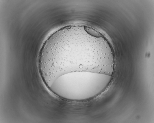 X0000090921429200708131423