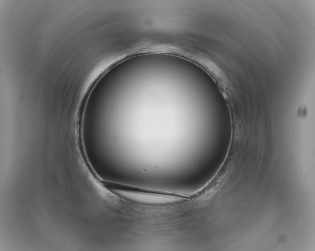 X0000090921430200708131423