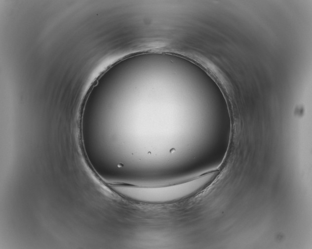 X0000090921432200708131423