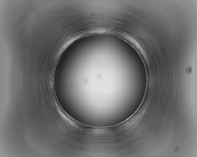 X0000090921433200708131423
