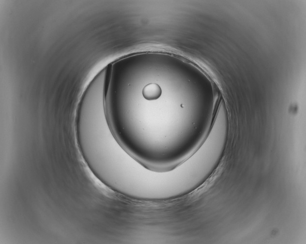 X0000090921438200708131424