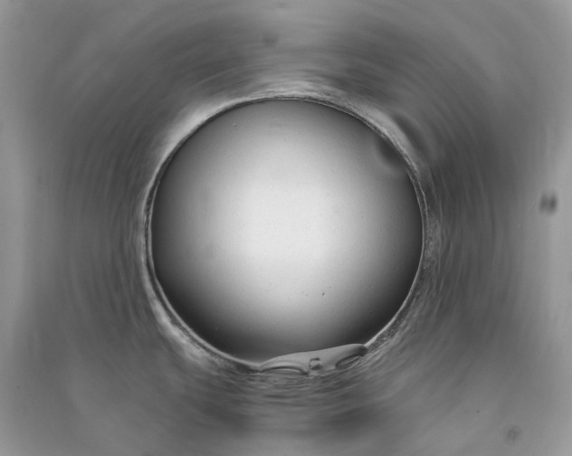 X0000090921439200708131424