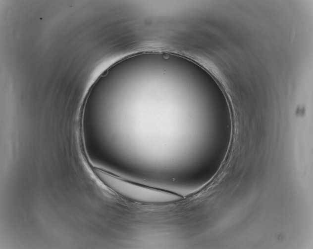 X0000090921440200708131424