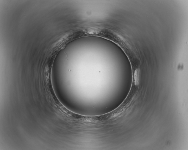 X0000090921443200708131423