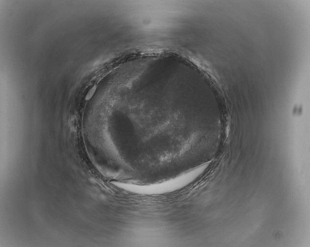 X0000090921445200708131423