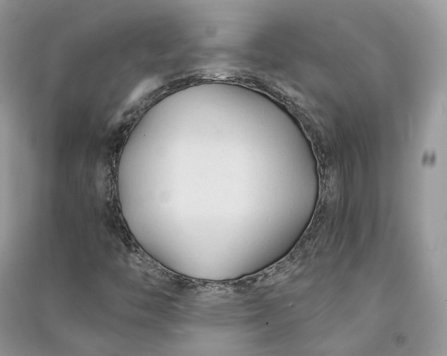 X0000090921446200708131423