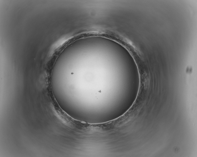 X0000090921448200708131423