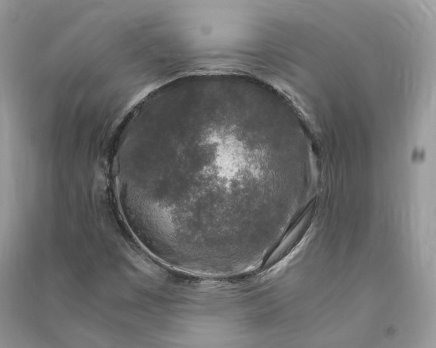 X0000090921449200708131423