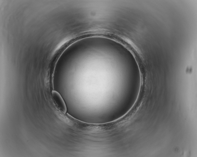X0000090921450200708131423
